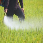 County not consulting real experts on roadside pesticide spraying