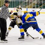 Heartbreaking defeat for the Bears