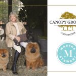 Martha Stewart and Marquee brands partner with Canopy Growth Corporation to launch Martha Stewart CBD