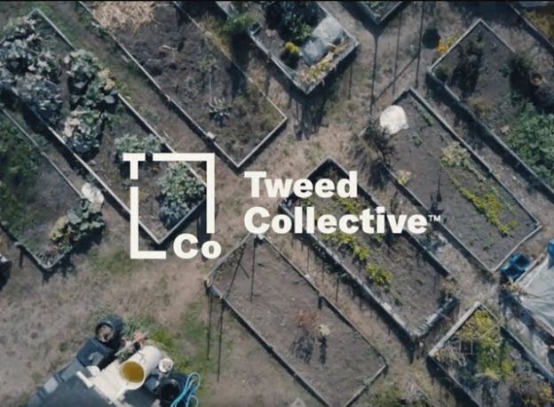 Tweed CollectiveTM