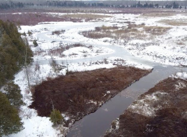 Hutton Creek Marsh