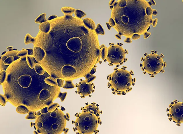 coronavirus4 COVID-19