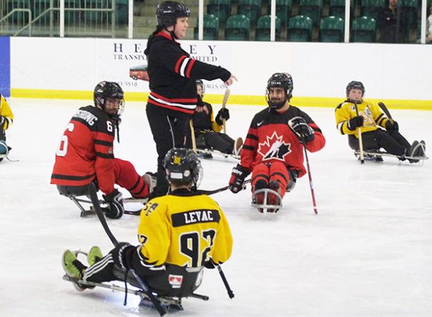 The Smiths Falls Minor Hockey Association Atom B Bears