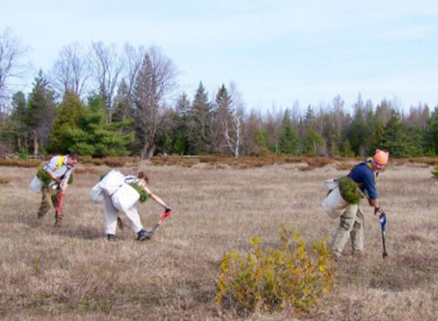 Tree Planting