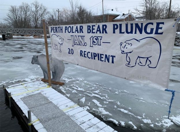 Polar Bear Plunge