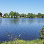 Smiths Falls shoreline planting postponed to May 2022