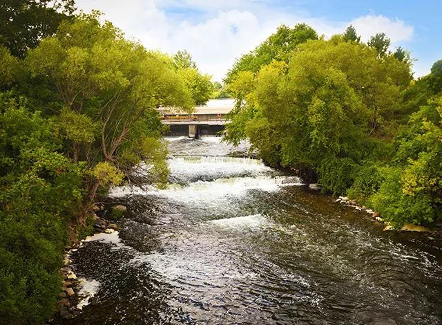 R.E.A.L. Shoreline Cleanup