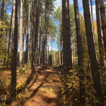 “Fall in love” with Lanark County trails this fall