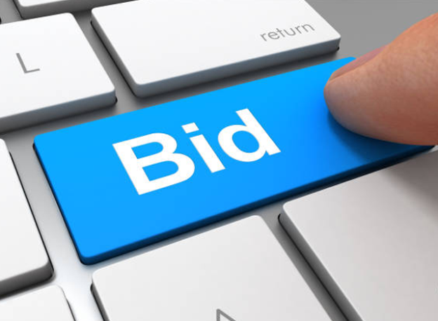 Bid Online Auction