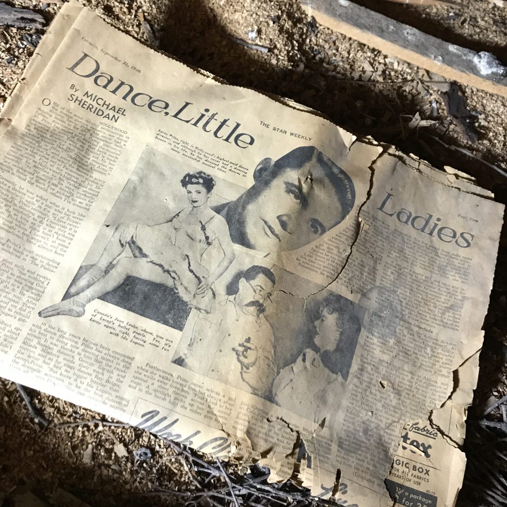 Old newspaper titled 'Dance Little Ladies'