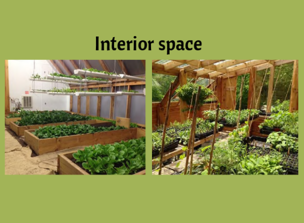 Interior space of greenhouse