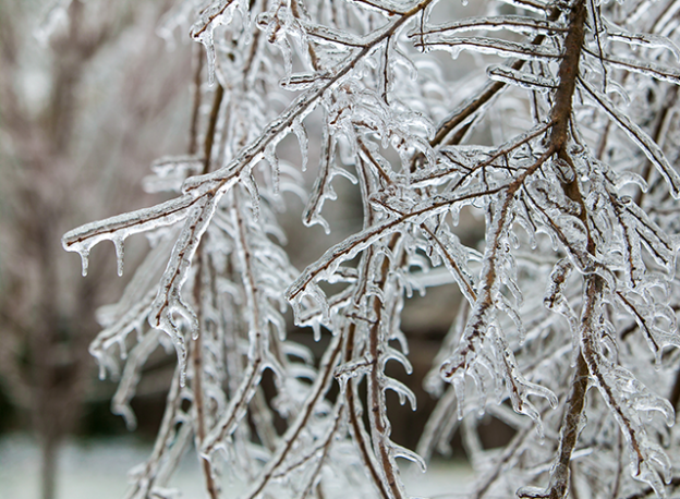 ice storm