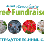 Create magic this Christmas — Shop Home Hospice North Lanark trees and help your neighbours