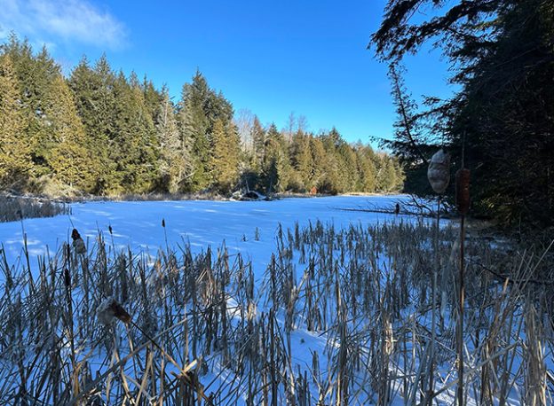 Mississippi Madawaska Land Trust