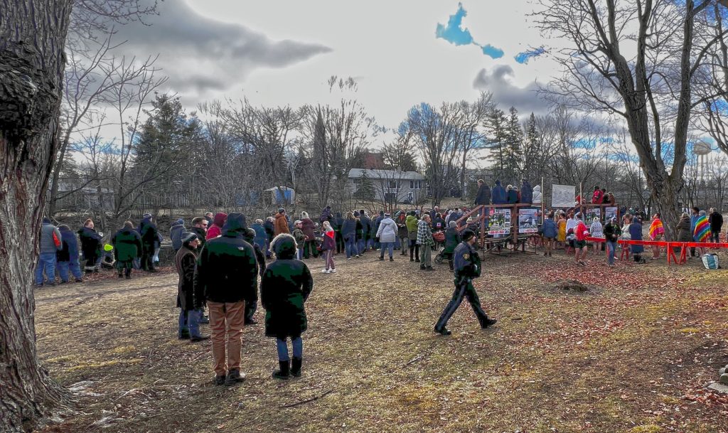 Perth Polar Bear Plunge spectators.