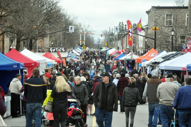 Festival of the Maples