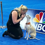 Westminster Kennel Club Dog Show has Perth grand-pawrents howling praises