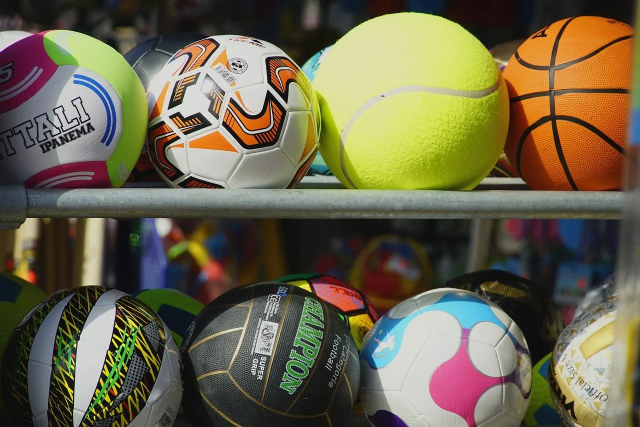 UCDSB All In Sports Different types of sport balls sitting on a rack.