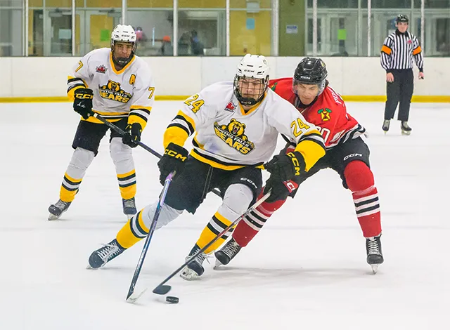 Bears vs Braves Feb 17