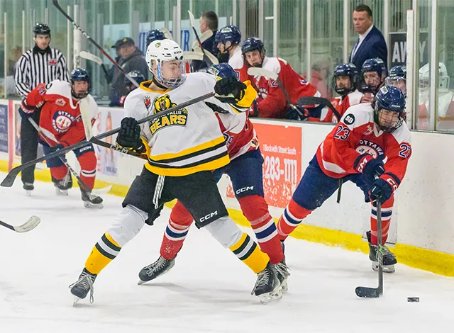 Bears vs Ottawa Feb 14.