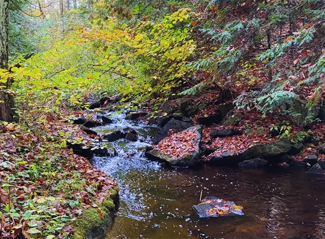 MMLT property acquisition